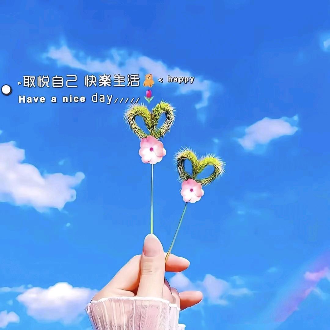 ✧(≖ ◡ ≖✿)美美哒☆