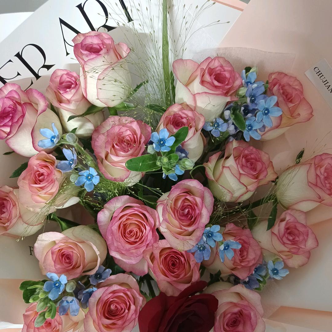 余生安好…(拒绝连赞)