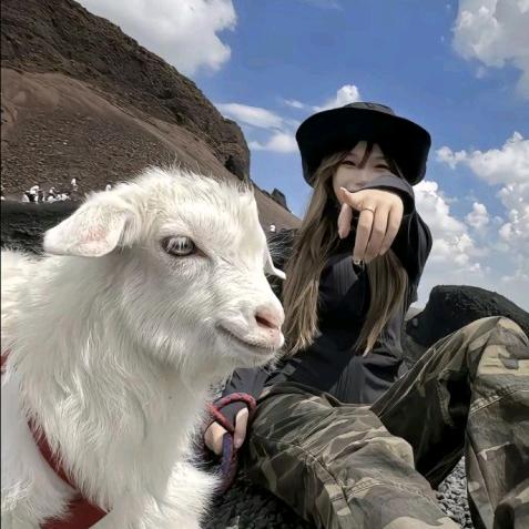 Zz-