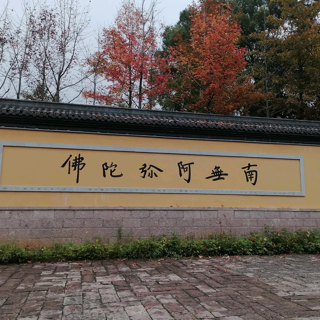 婳悠