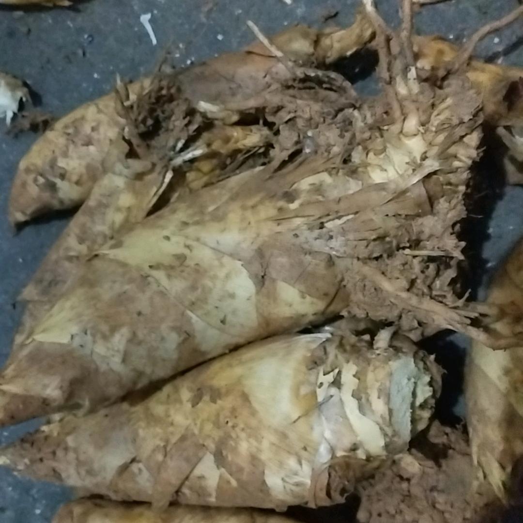 东哥@