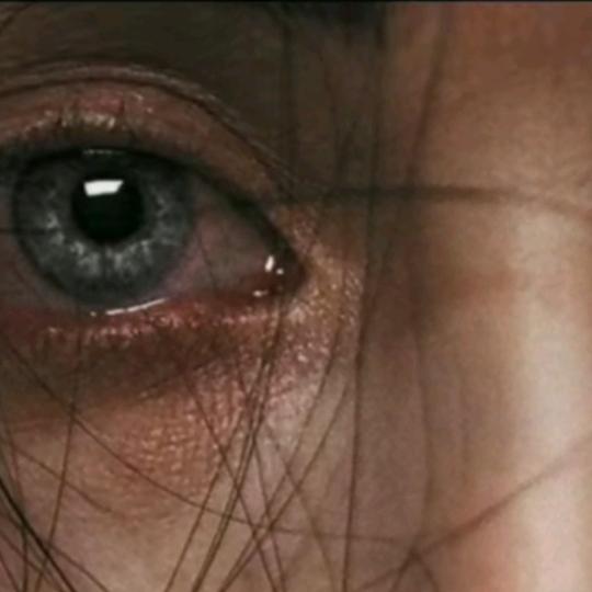 郑 郑   好💔