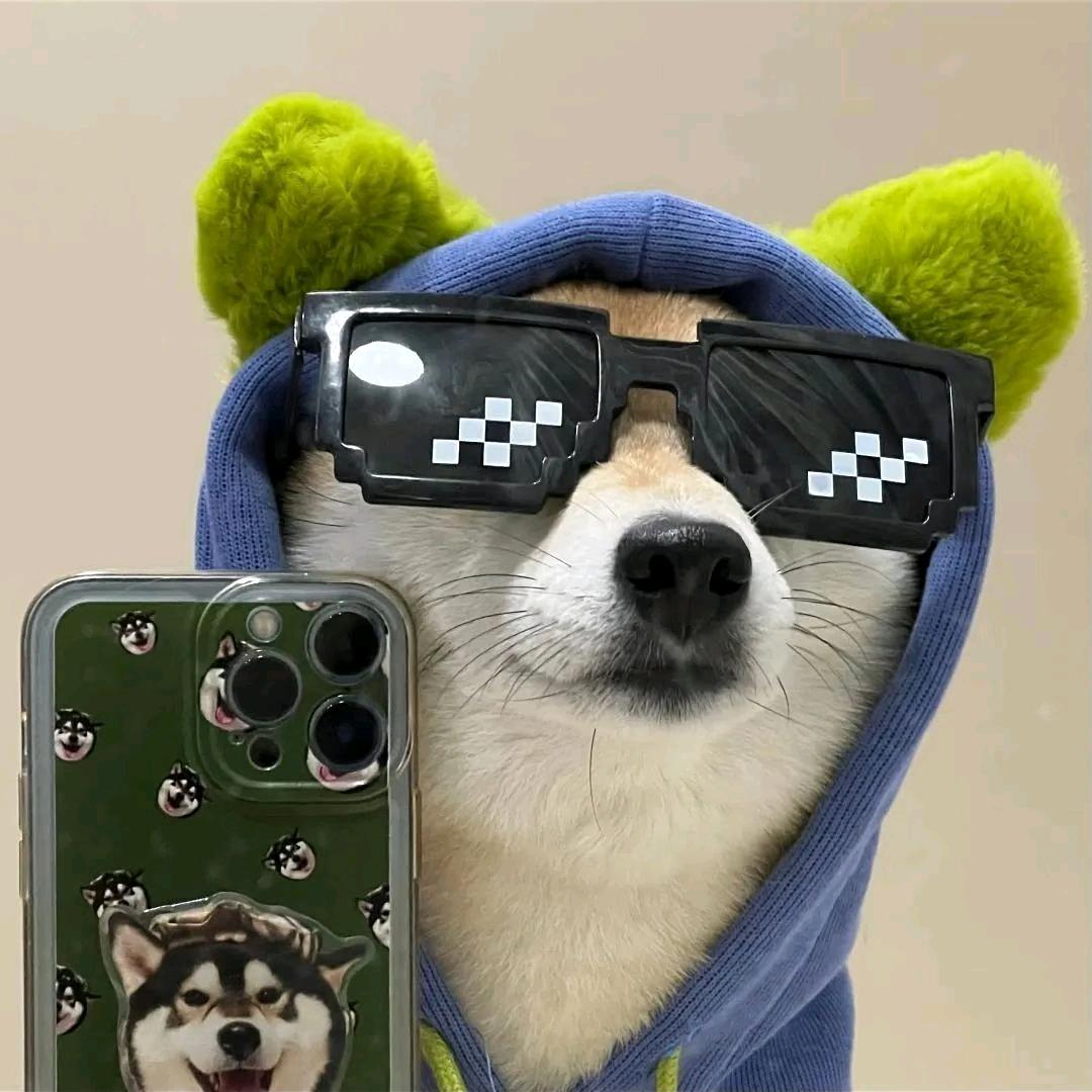 言珞一