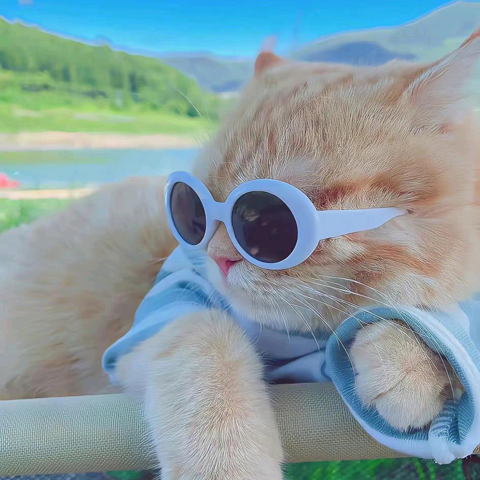 🕶、