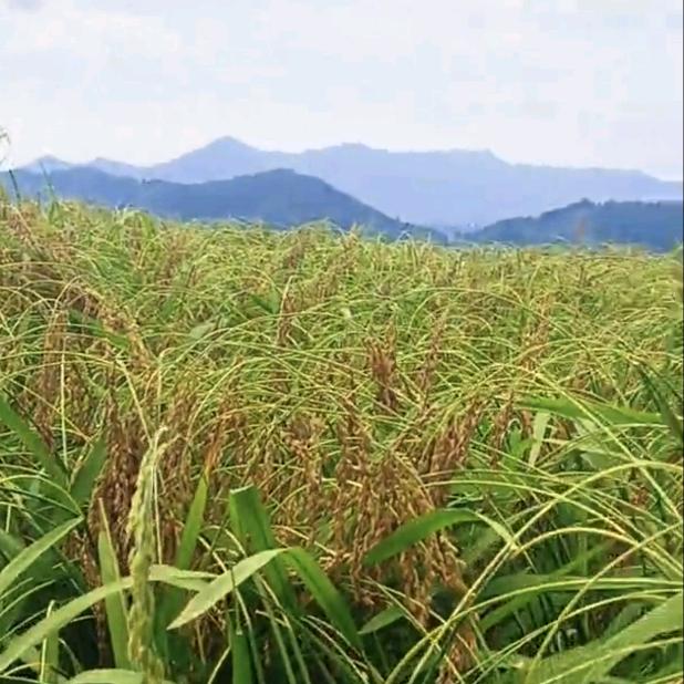 打工有风险