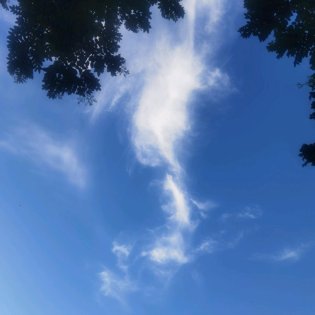 欢乐延续
