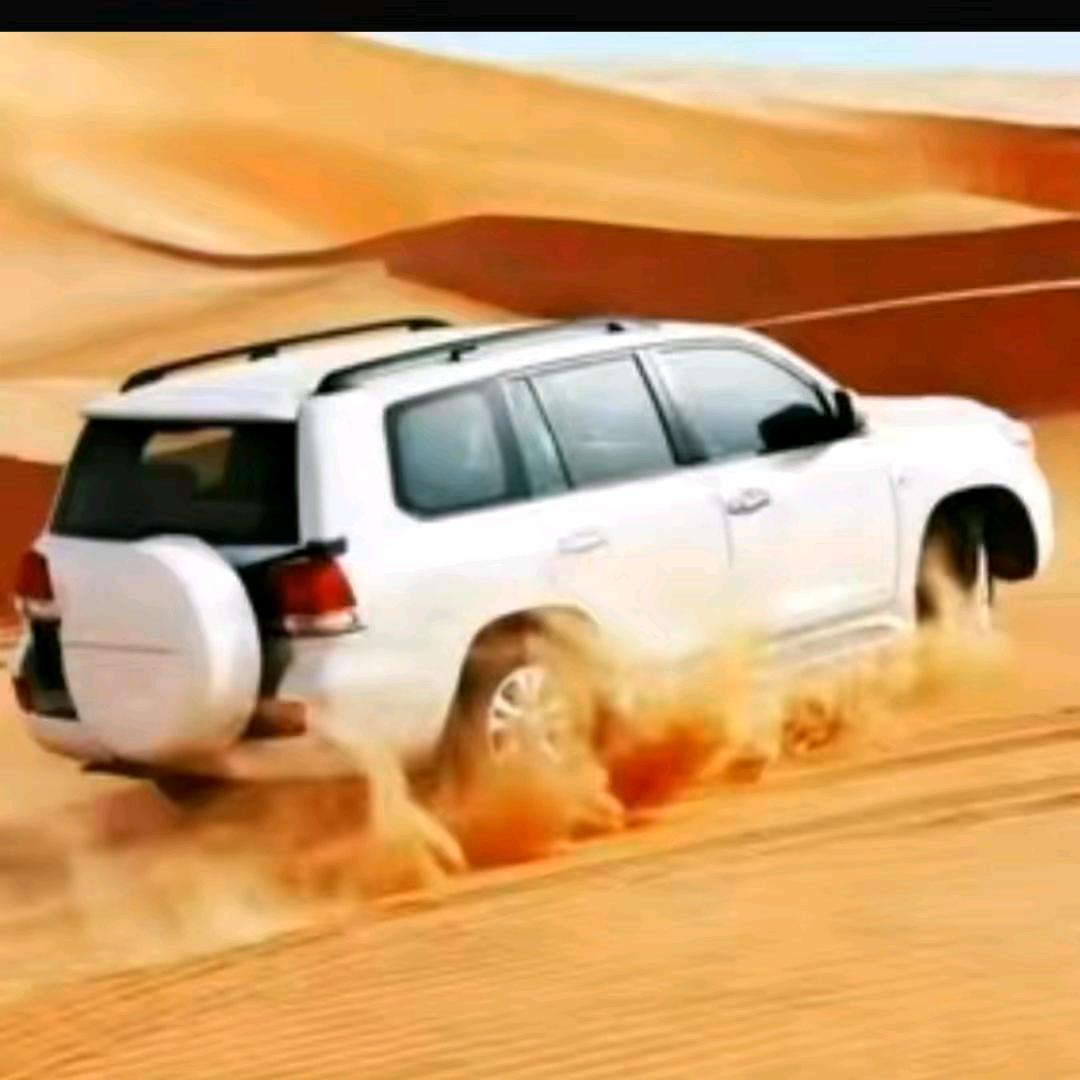 阿皮日达商贸坊