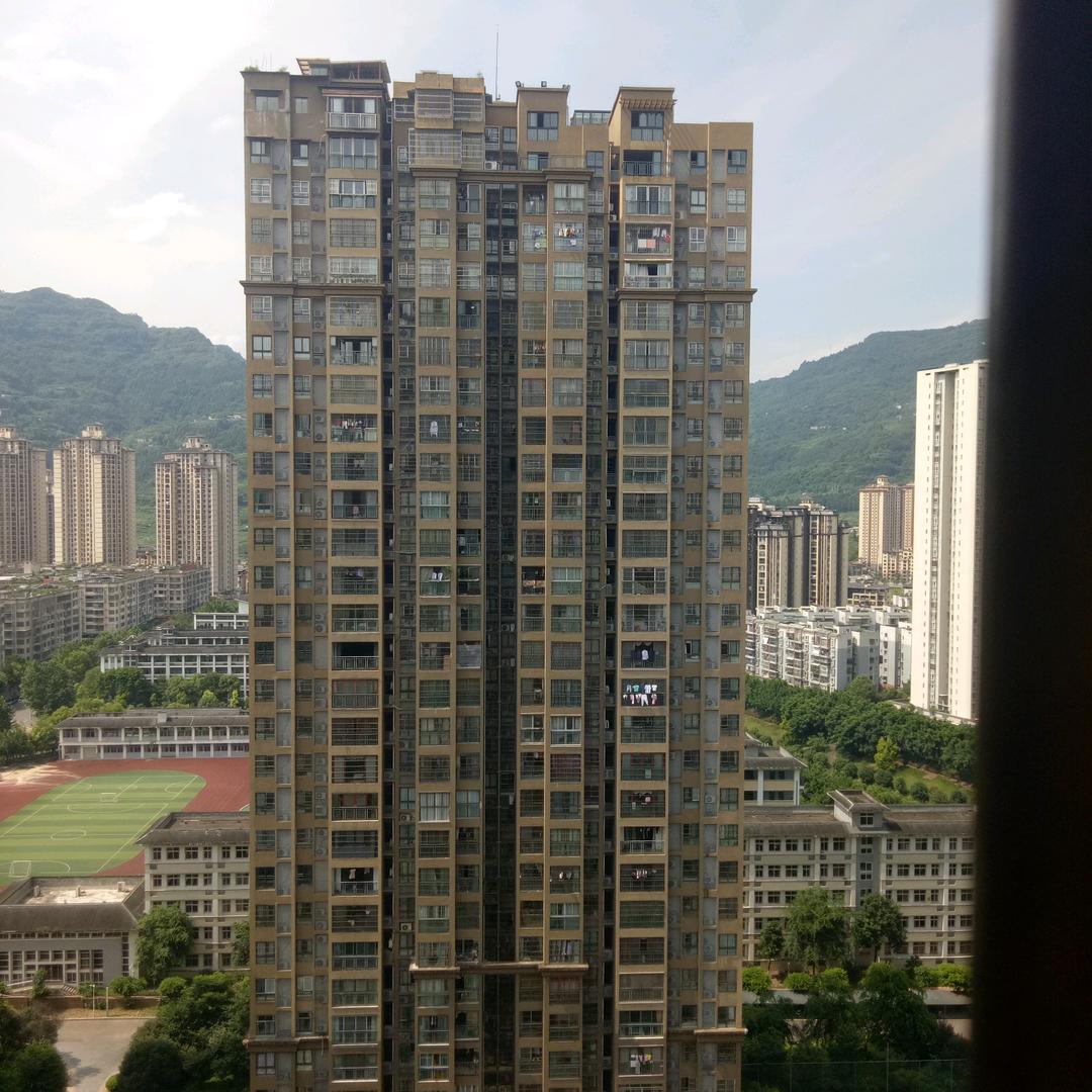 奶奶直播间