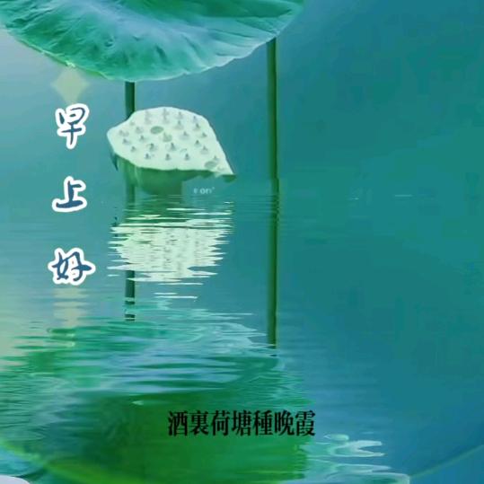 平淡是真
