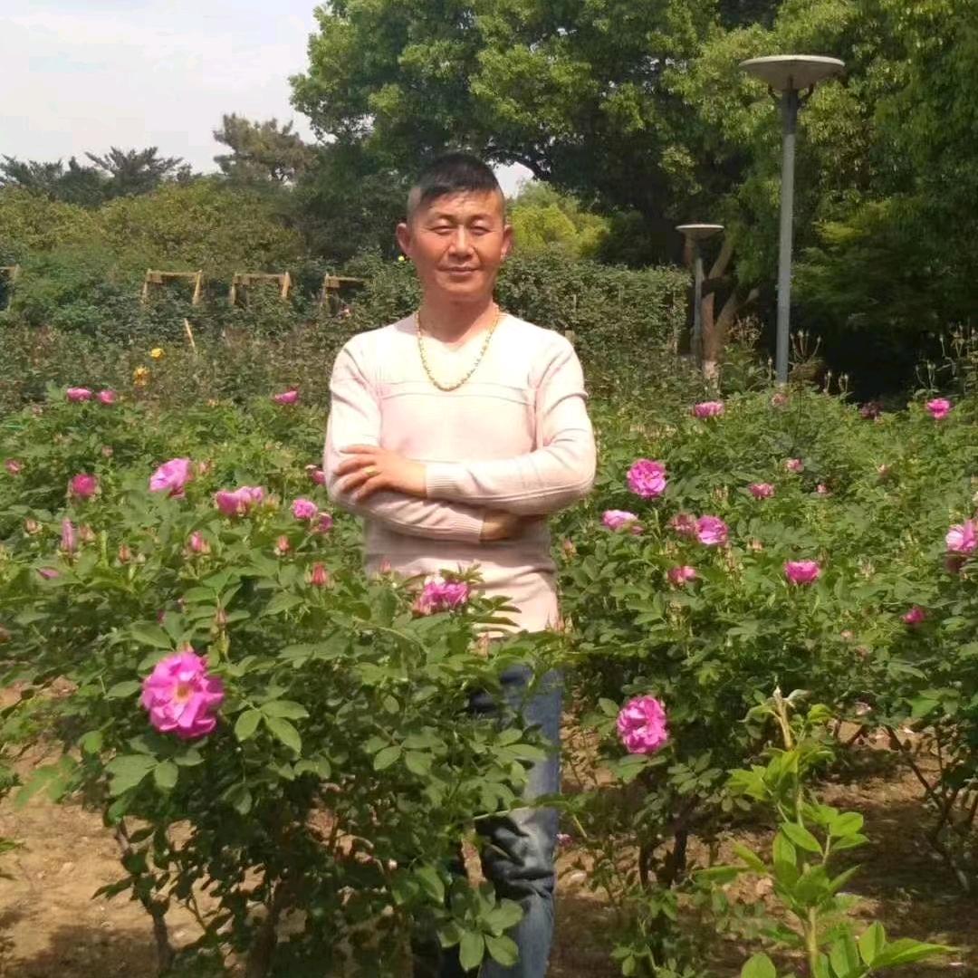 国元窗帘