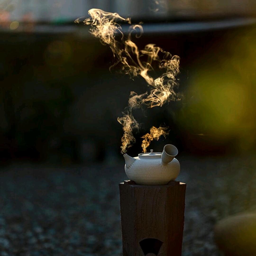 猫山有茶