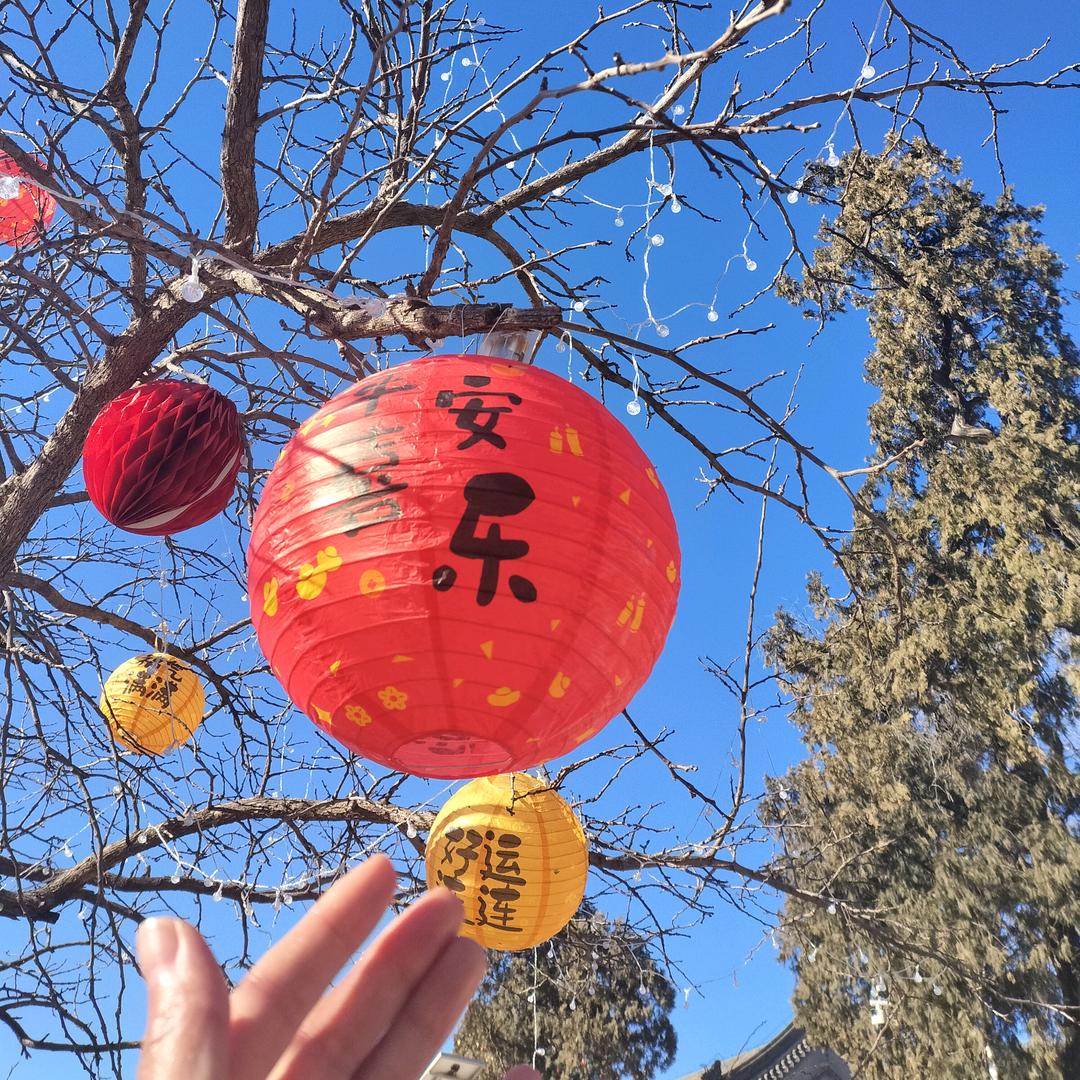 🌻爱笑的涛哥是小姨♏️