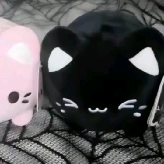 大王加灰猫