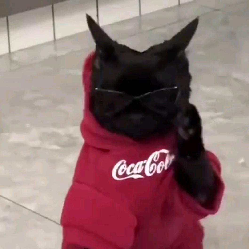 voboo