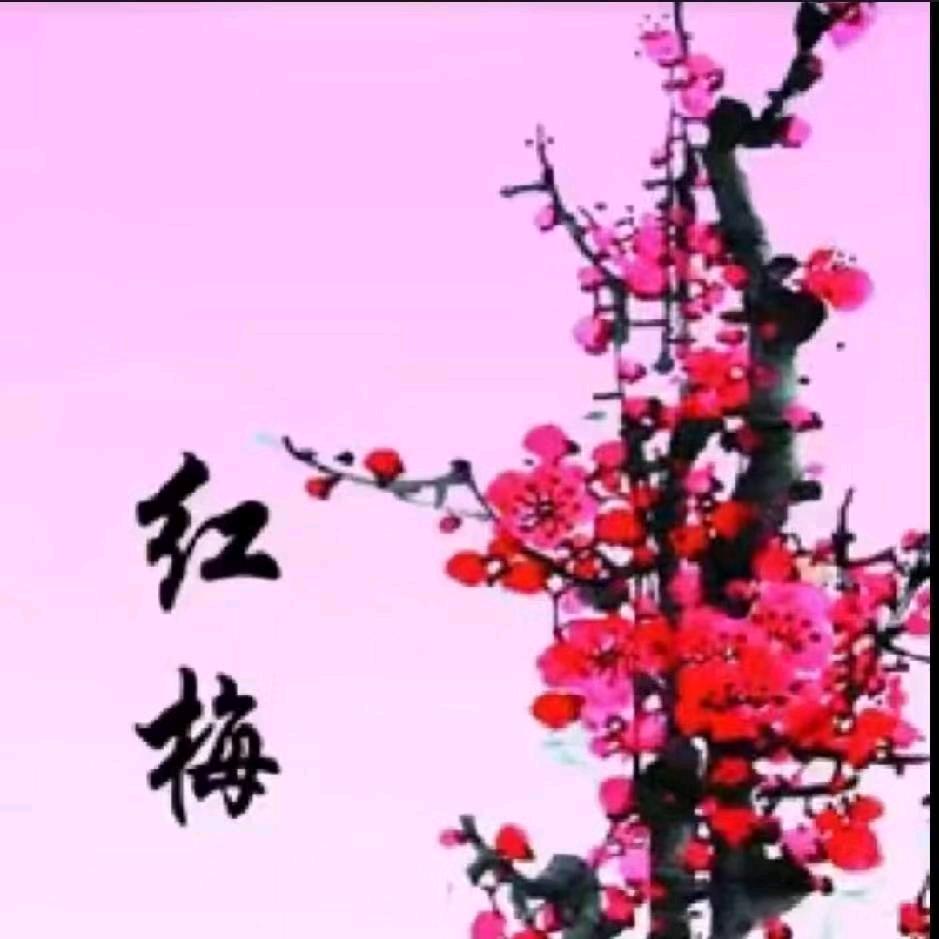 一枝梅@