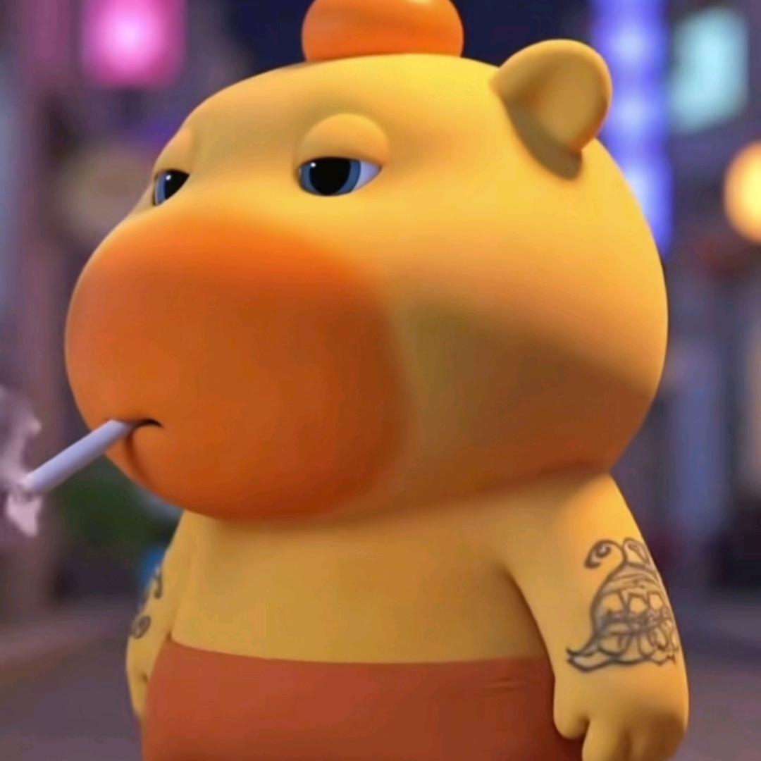 赵