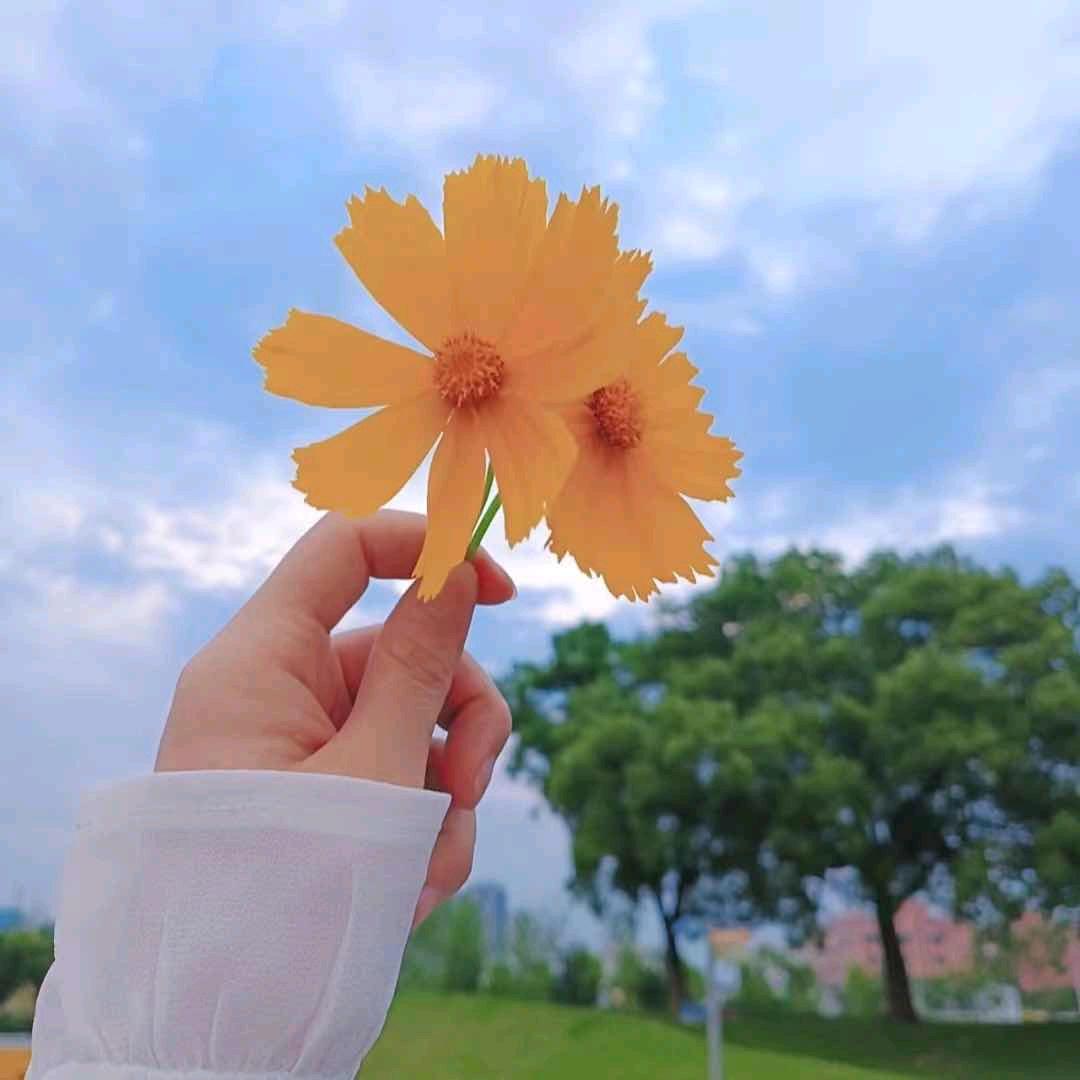 只若初见💐