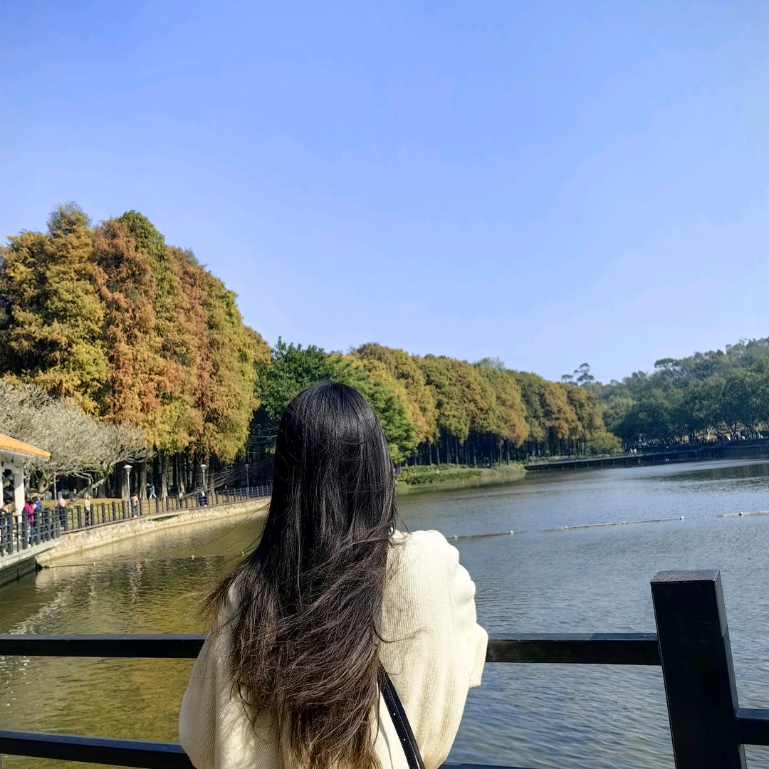 浅～柠