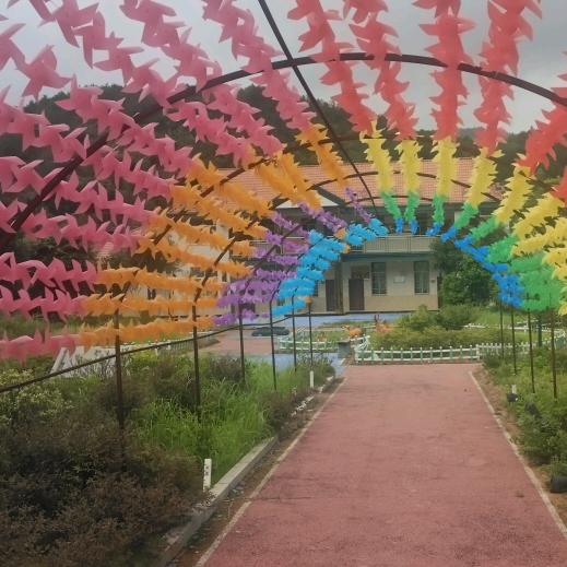 虚伪的世界