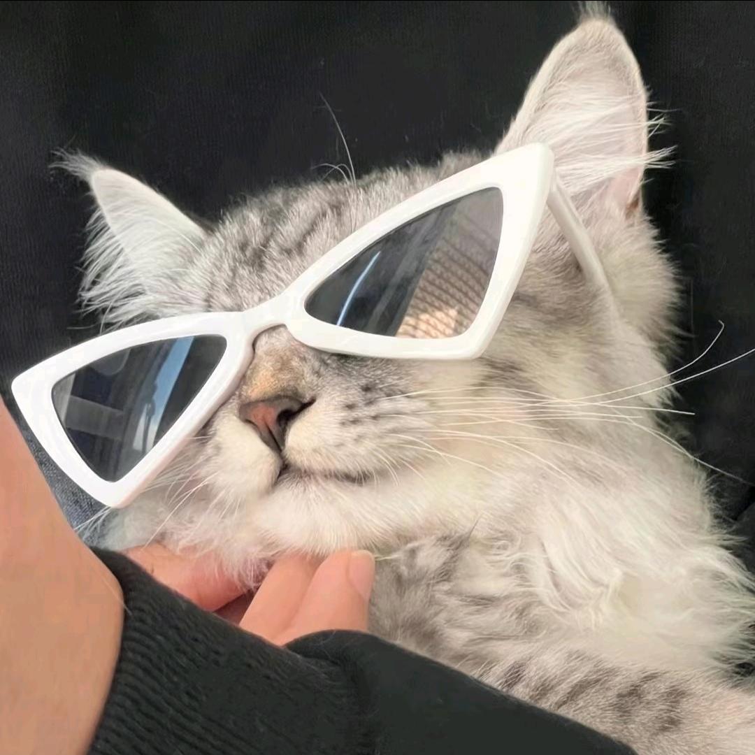 ( ﹡ˆoˆ﹡ )
