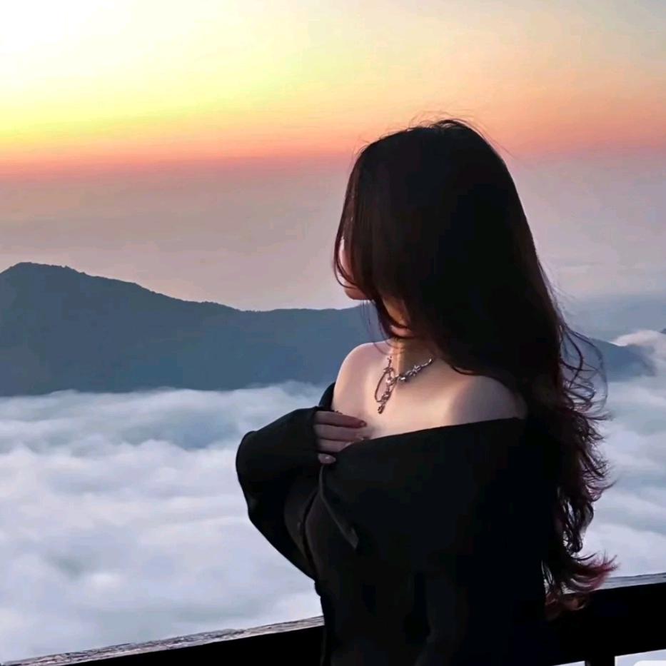司音电台🦋
