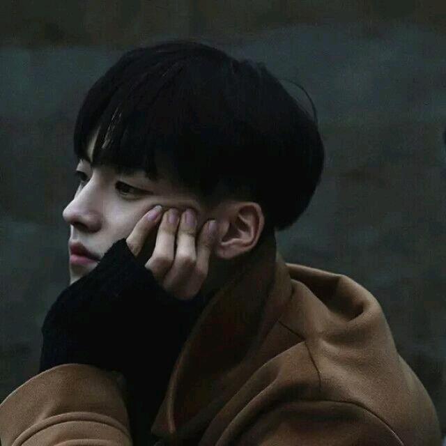 满目山河.