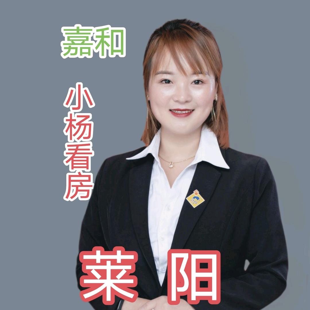 嘉和小杨带你看房