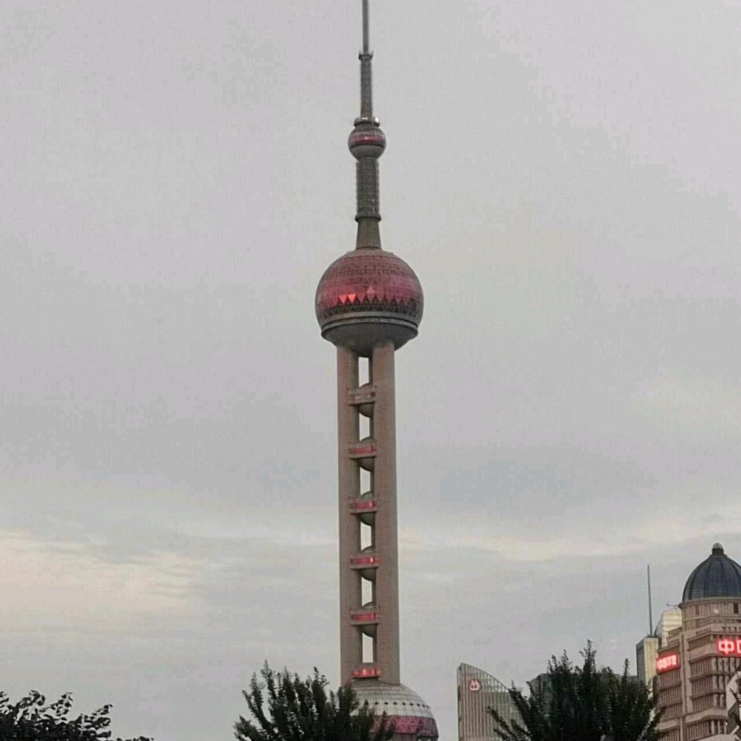 至尊天下霸王花