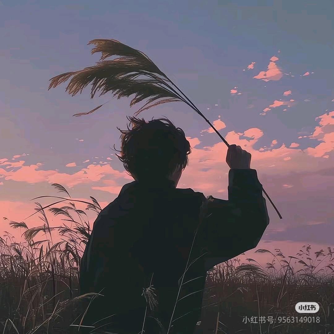 菜菜.