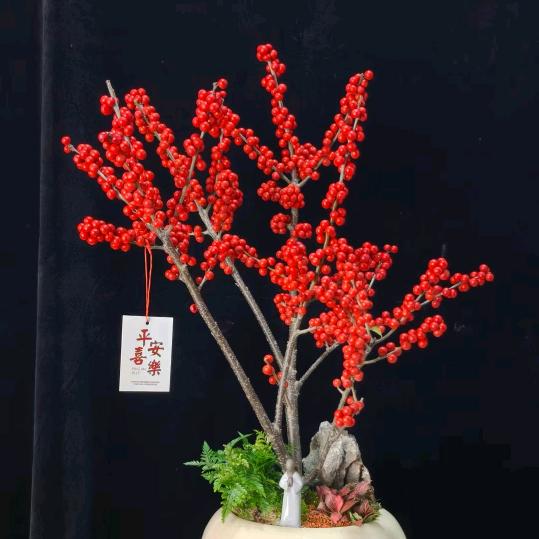 枫之甄选