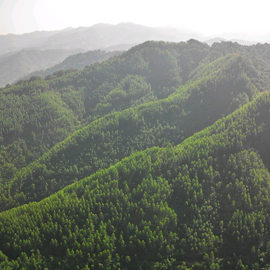 小黄无人机吊远