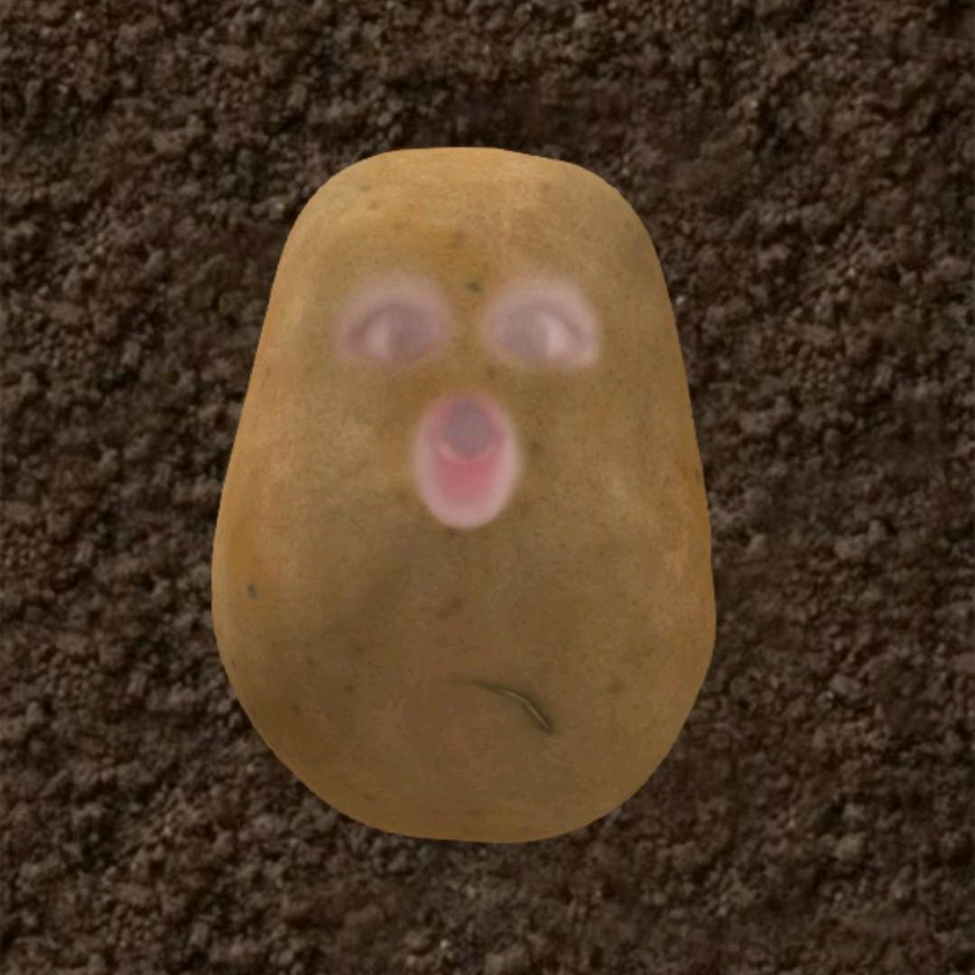 旺仔potato🥔