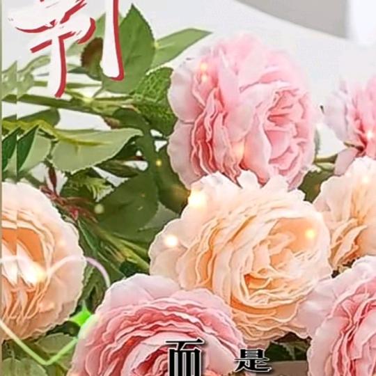艾芳华