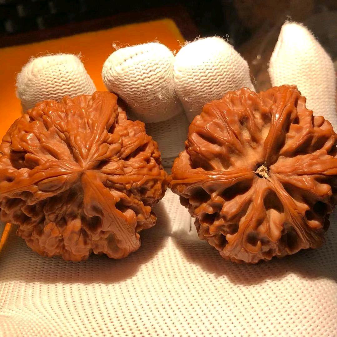 核老登精品文玩