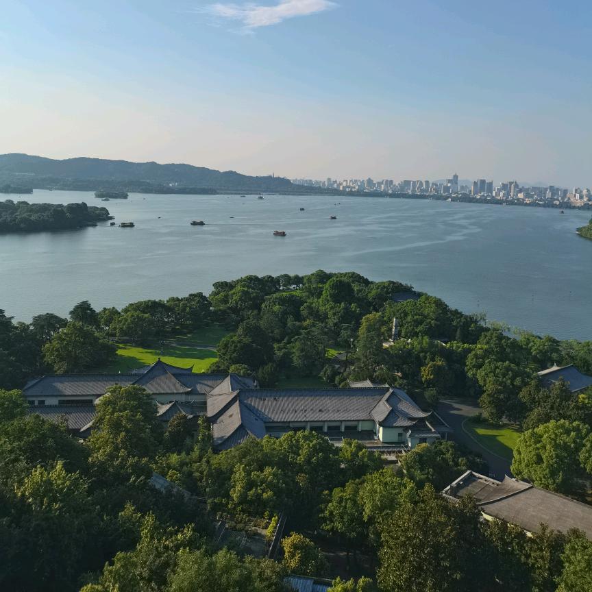 枞阳桃子