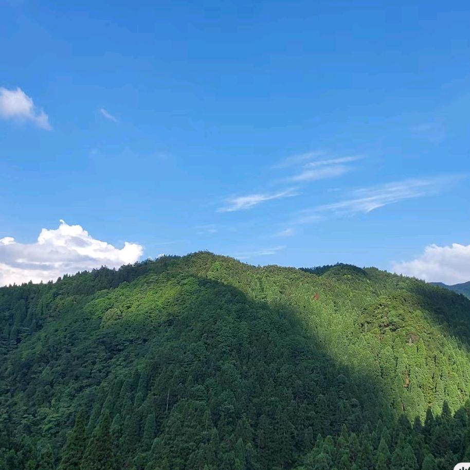 朽山沃稷滋补养生专卖店