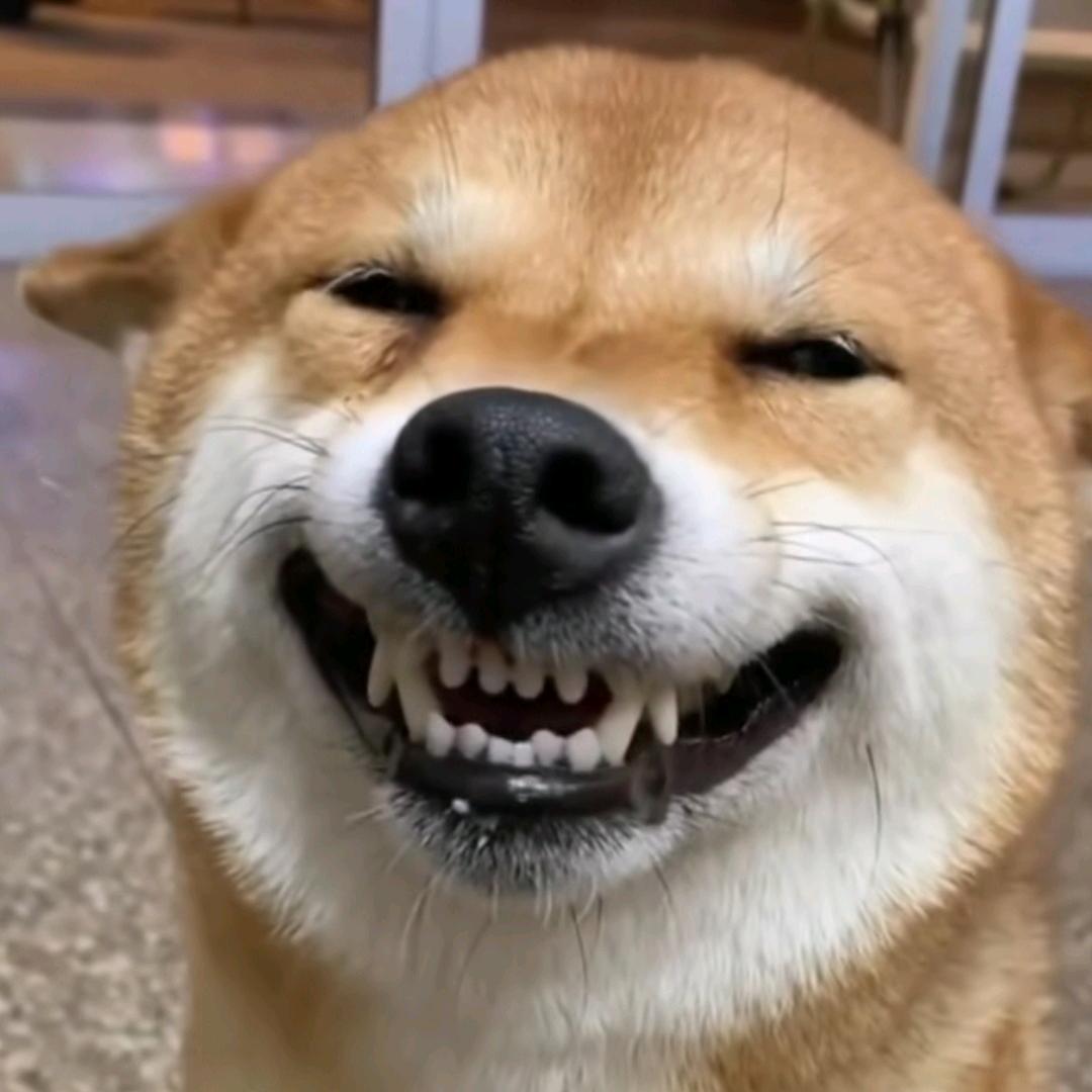 有点毒 ⁵²⁶⁰（恶毒版）