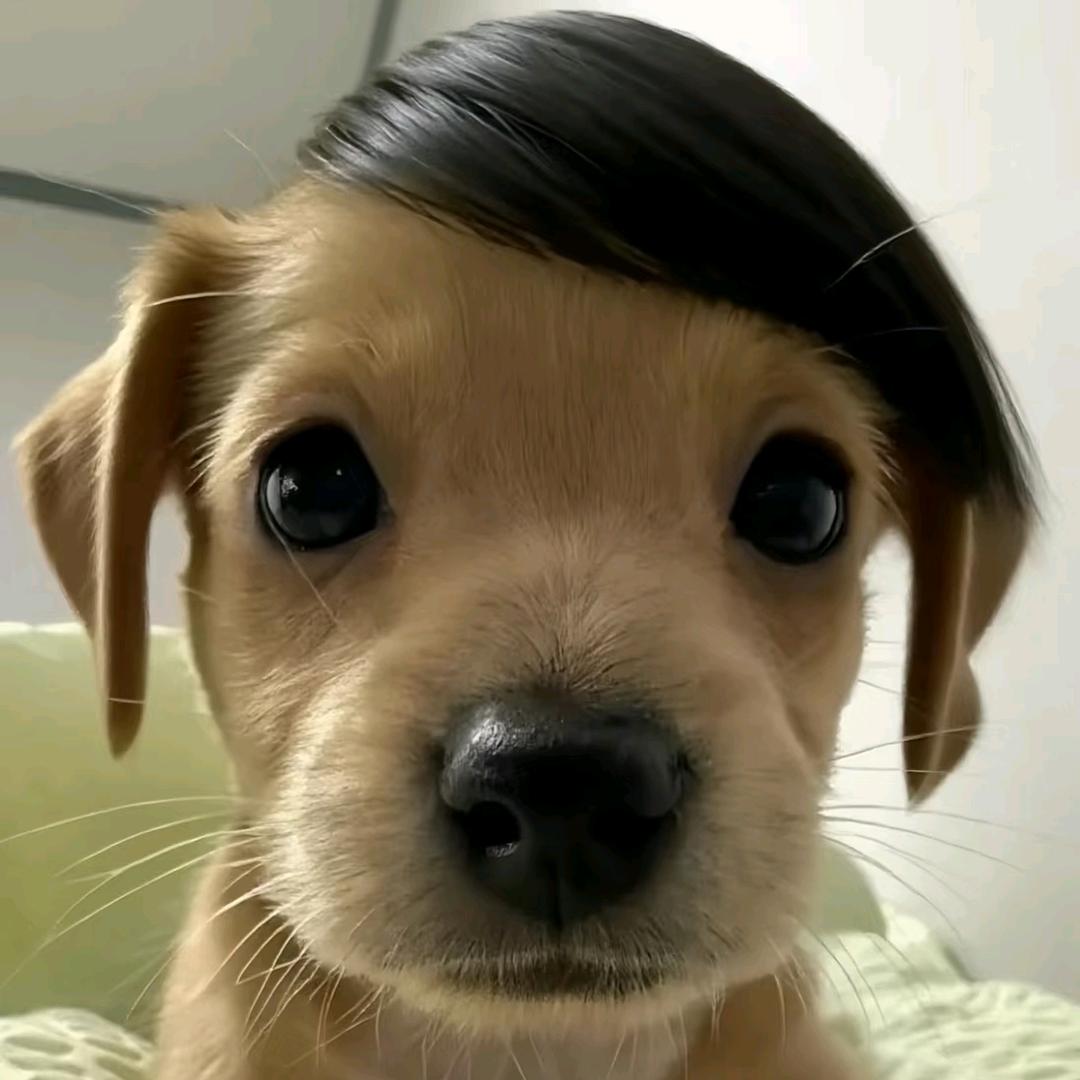 冬临了