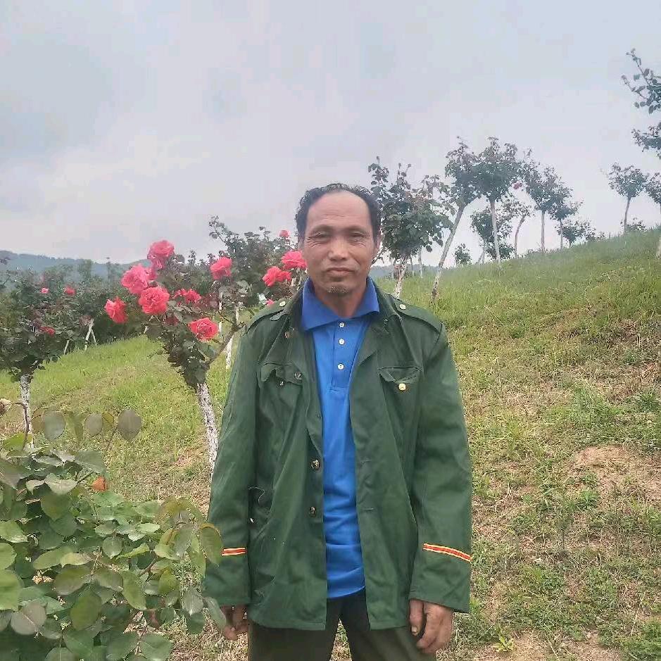 李哥