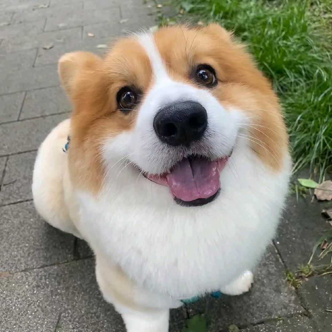 泽成的爹