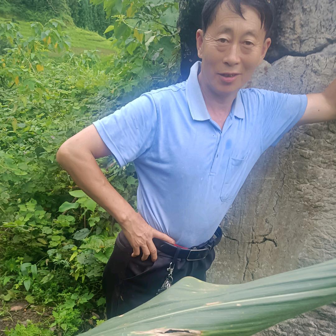 从心开始