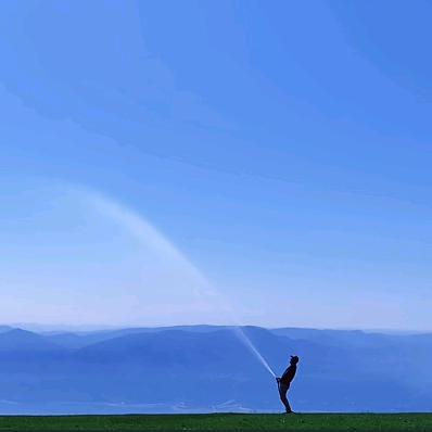 抖音特约优质评论员