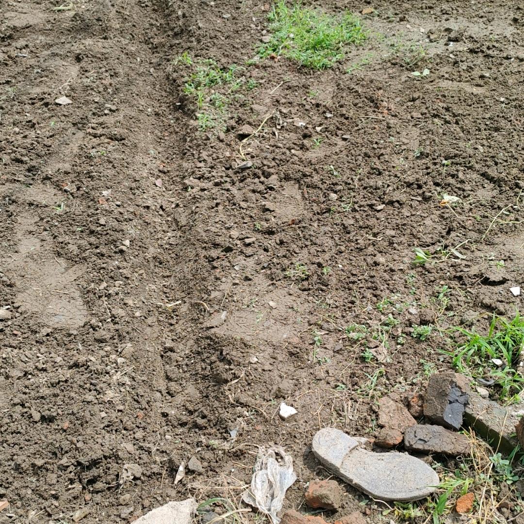 韦韦  @59356821352