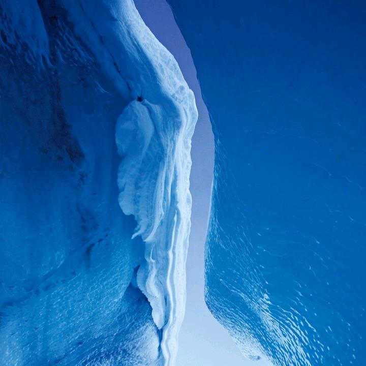 不谈感情只喝酒