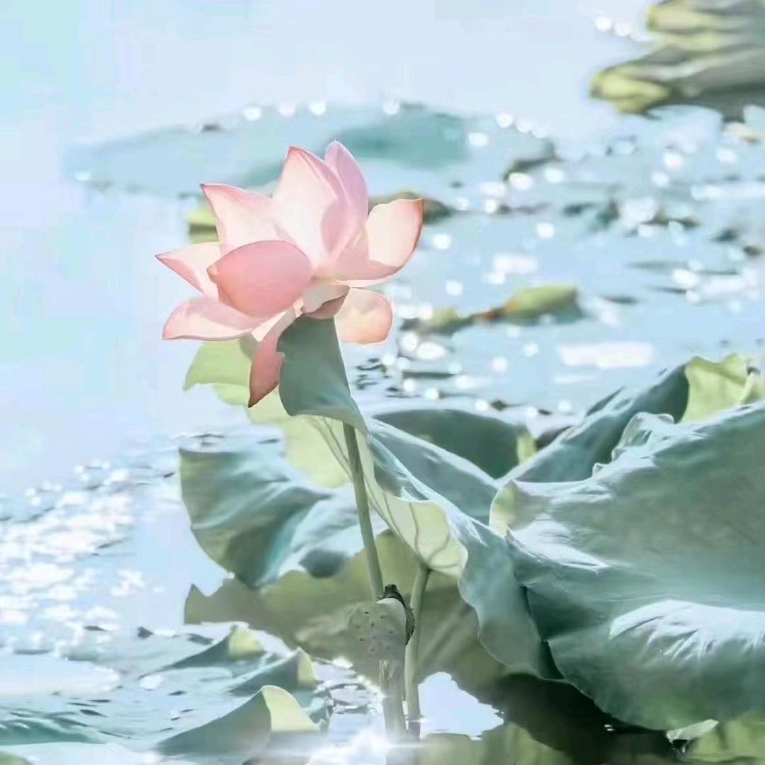 ℳঞ谋陈💖武姜¹³₁₄꧔࿐2