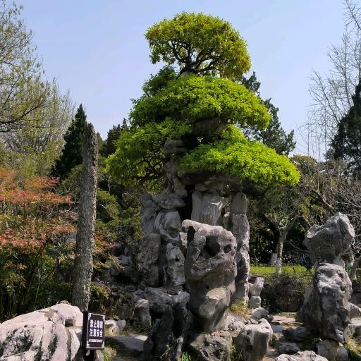 球球奶奶春暖花开