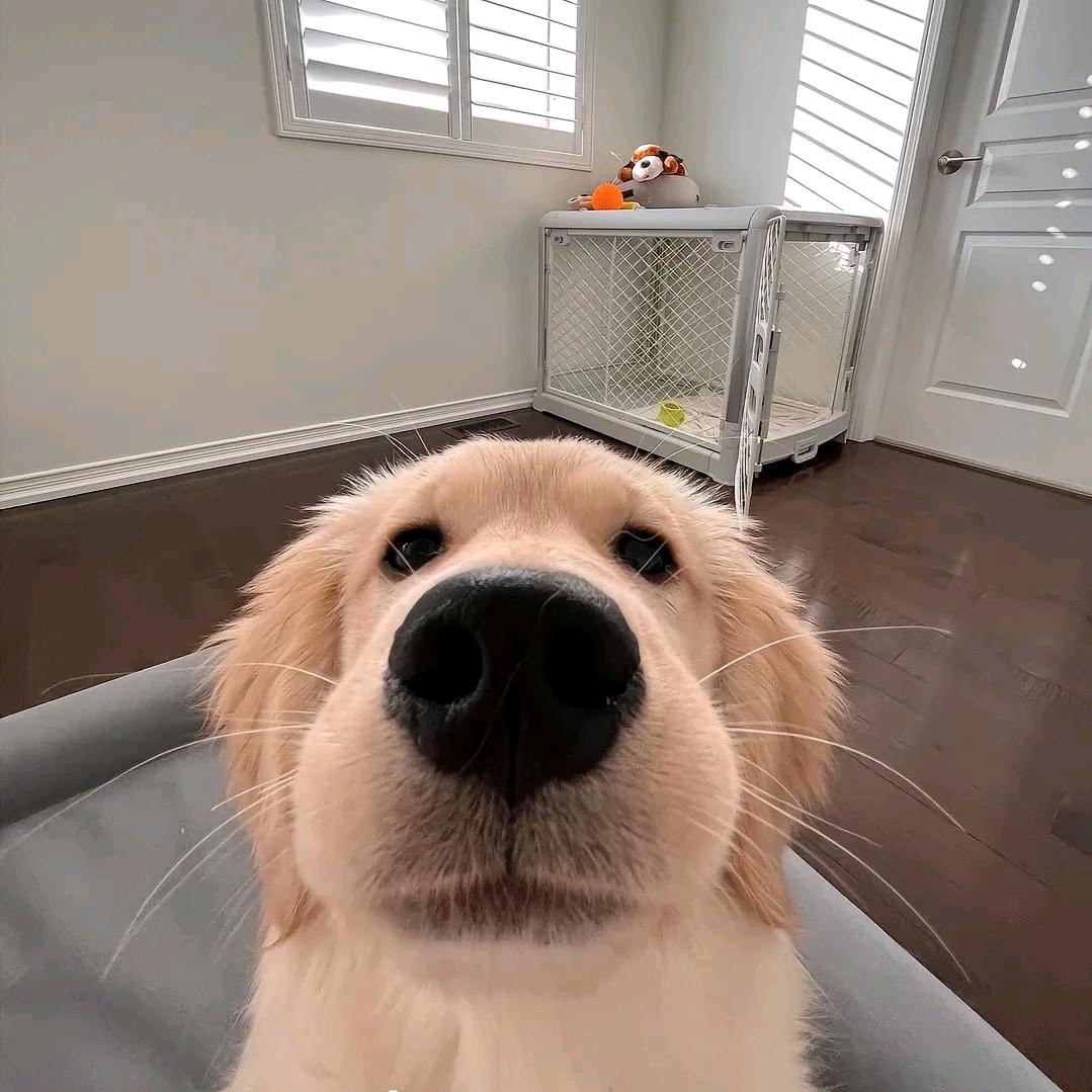 【開心超人】