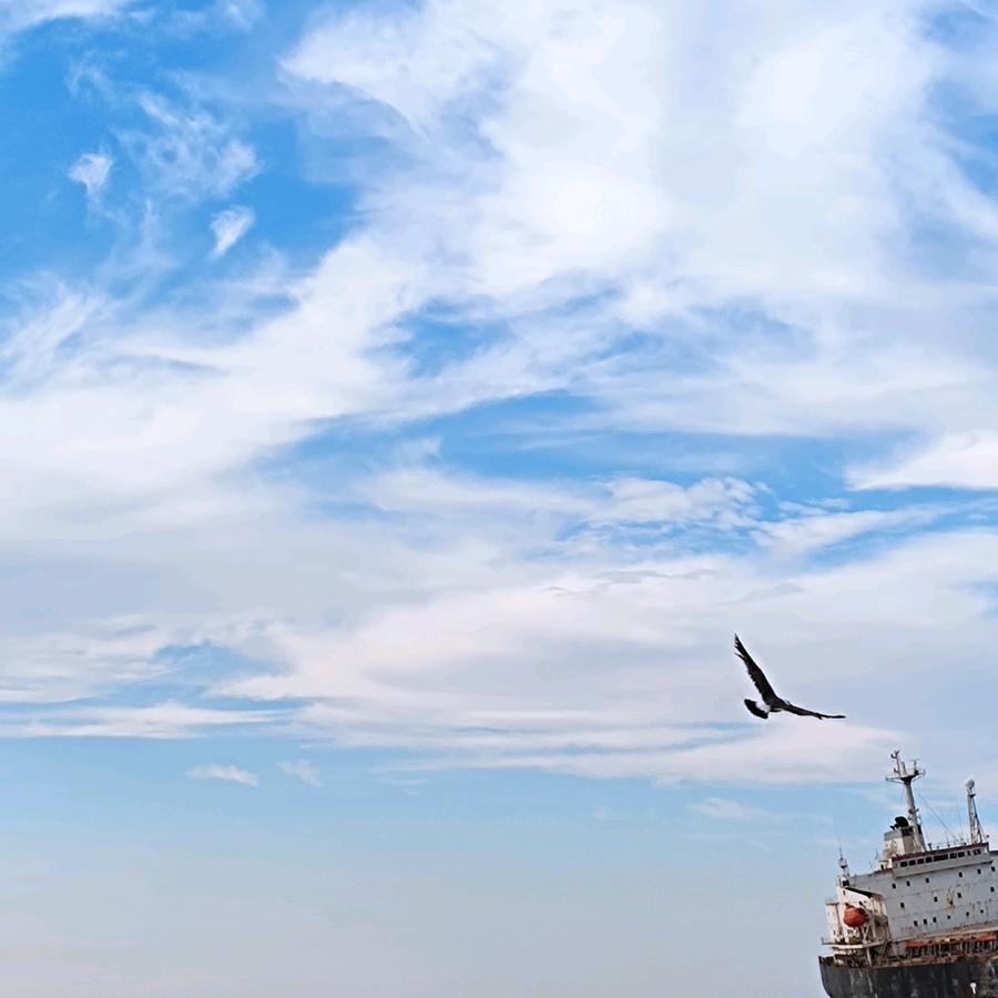 一念心清--心理工作室