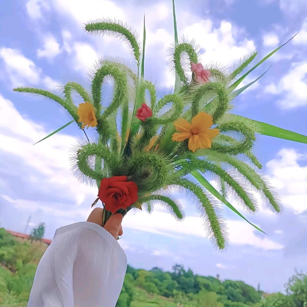 夏禾xh