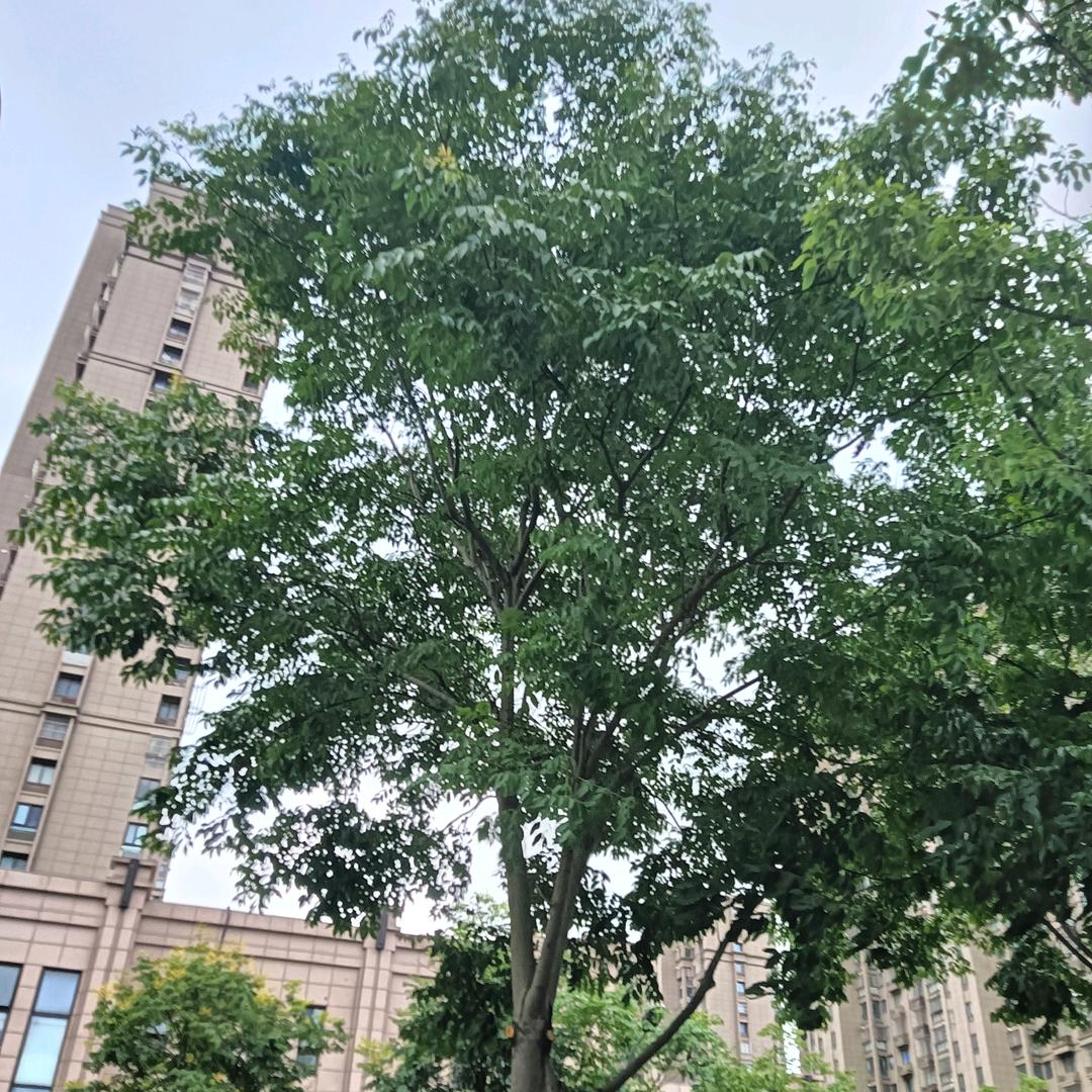 健康平安每一天，Wgm